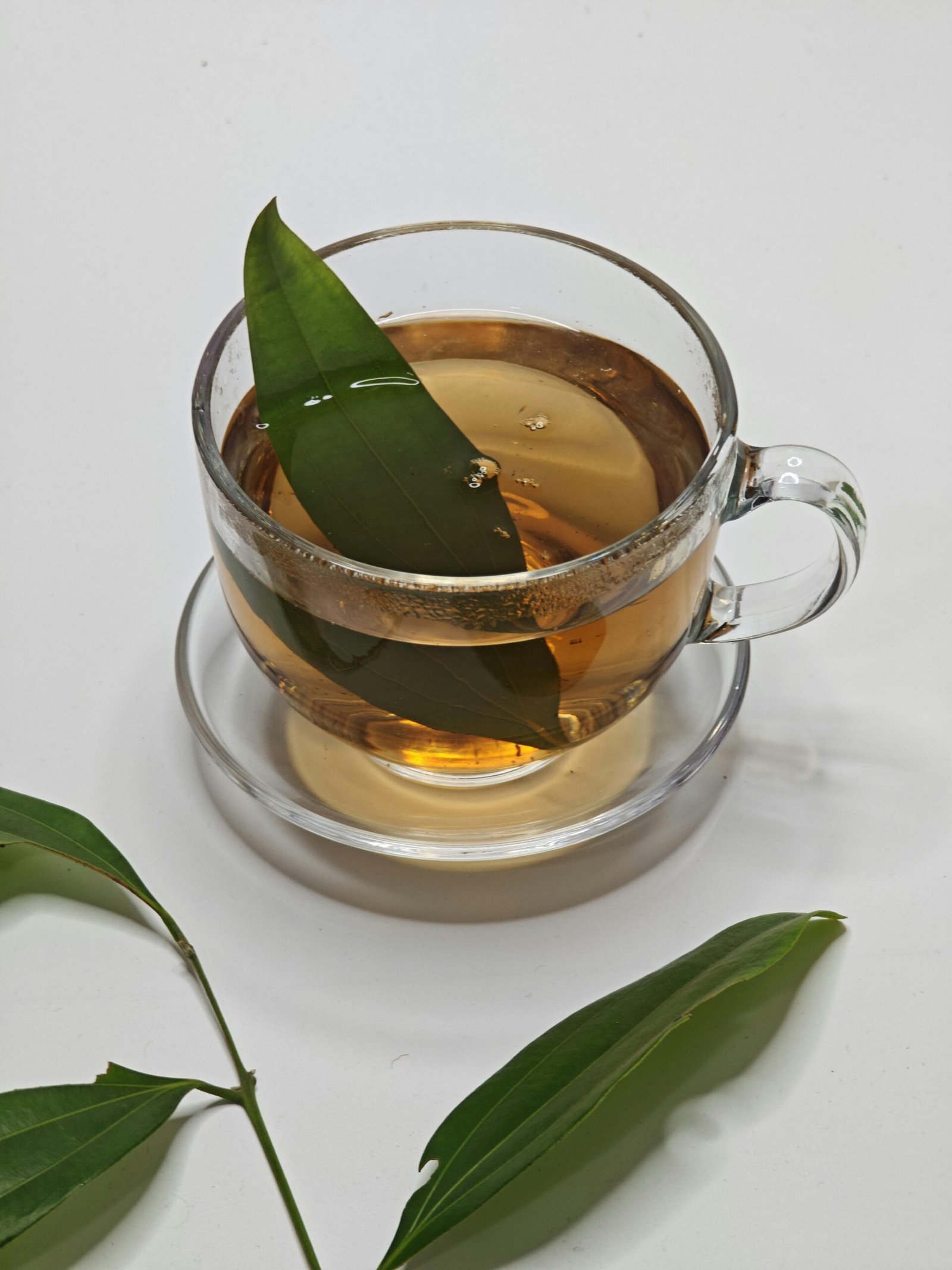 🌿 Chás Naturais para Ansiedade: 7 Opções Calmantes que Ajudam a Relaxar e Dormir Melhor